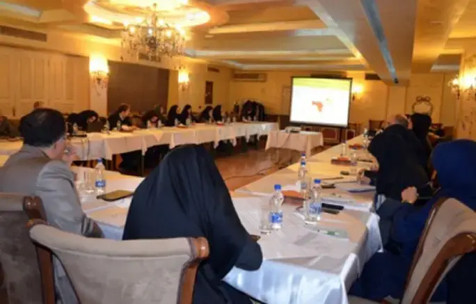 UNFPA meets with Implementing Partners to highlight new Strategic Plan (2014-2017)